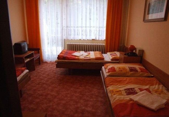 Hotel Petr Bezruc Frýdlant nad Ostravicí Ruang foto